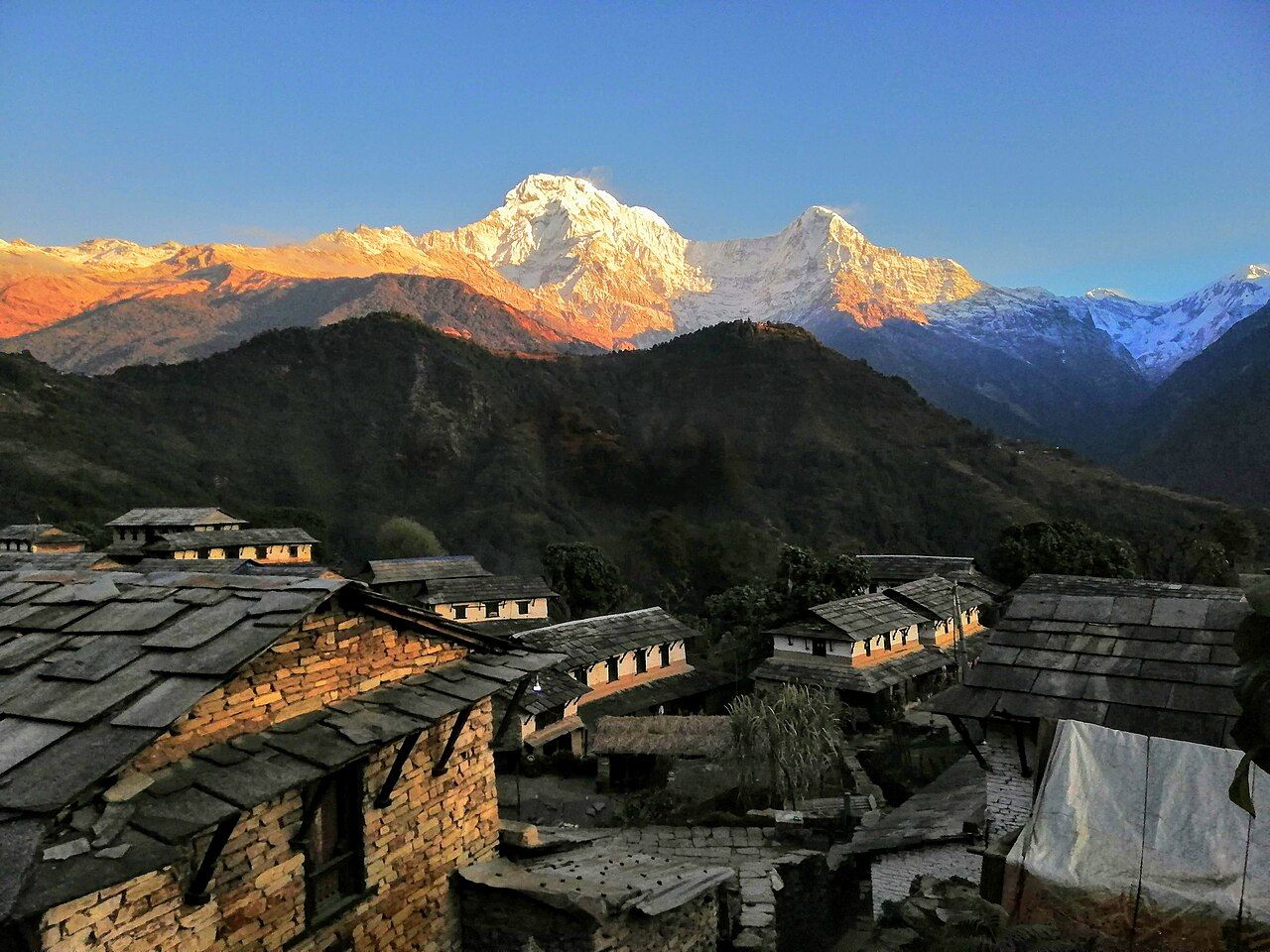 Annapurna South at sunrise above a Gurung village